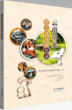 云南常见野生食用菌名录