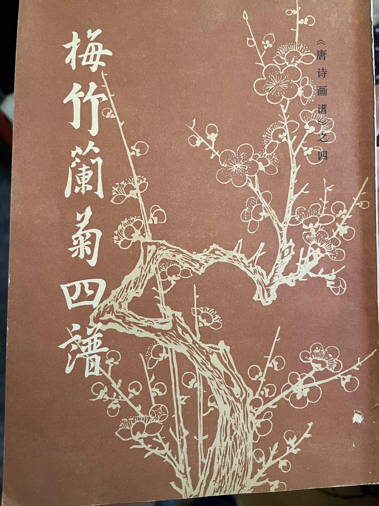 唐诗画谱 