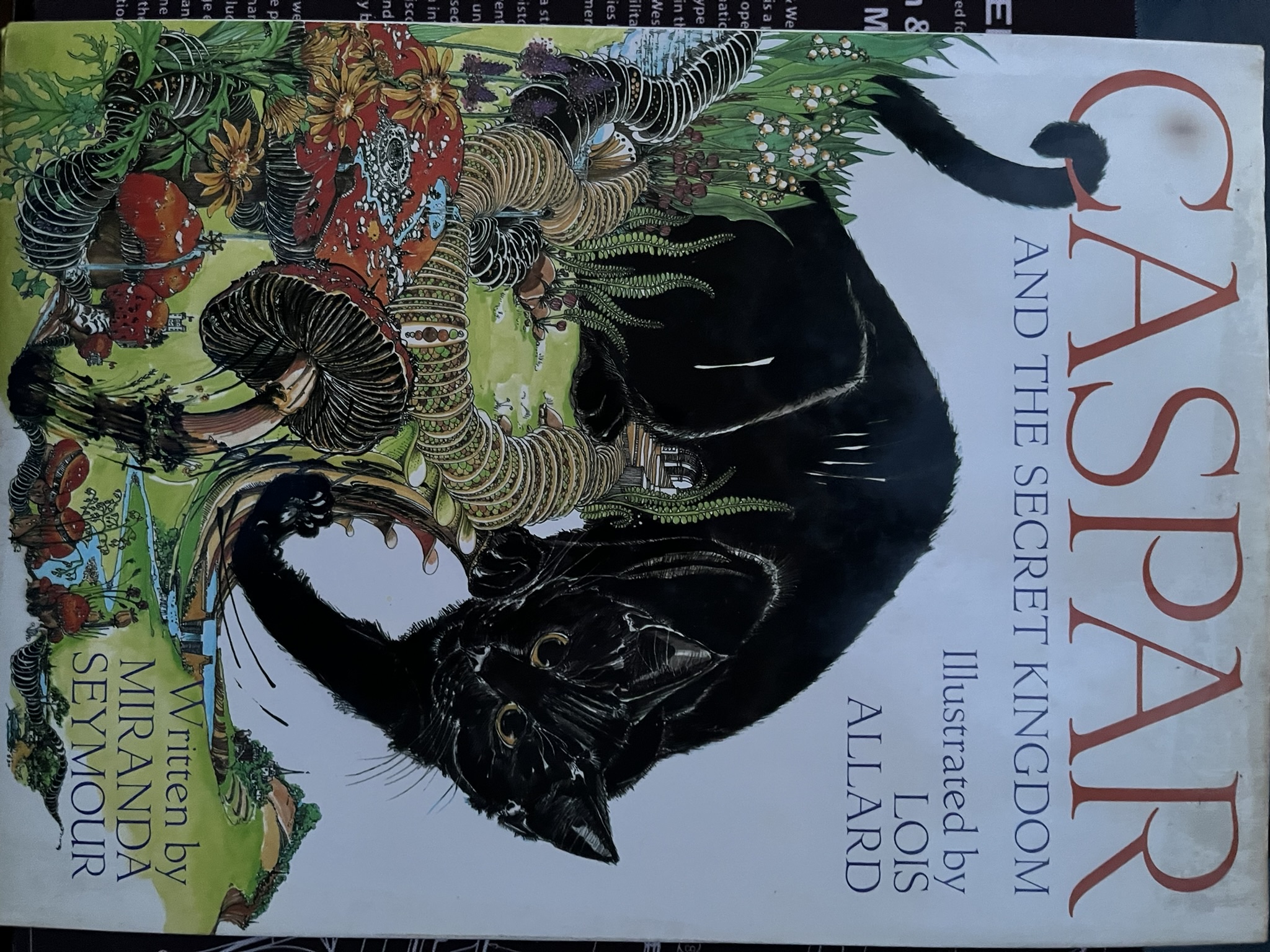 CASPAR and the secret kingdom