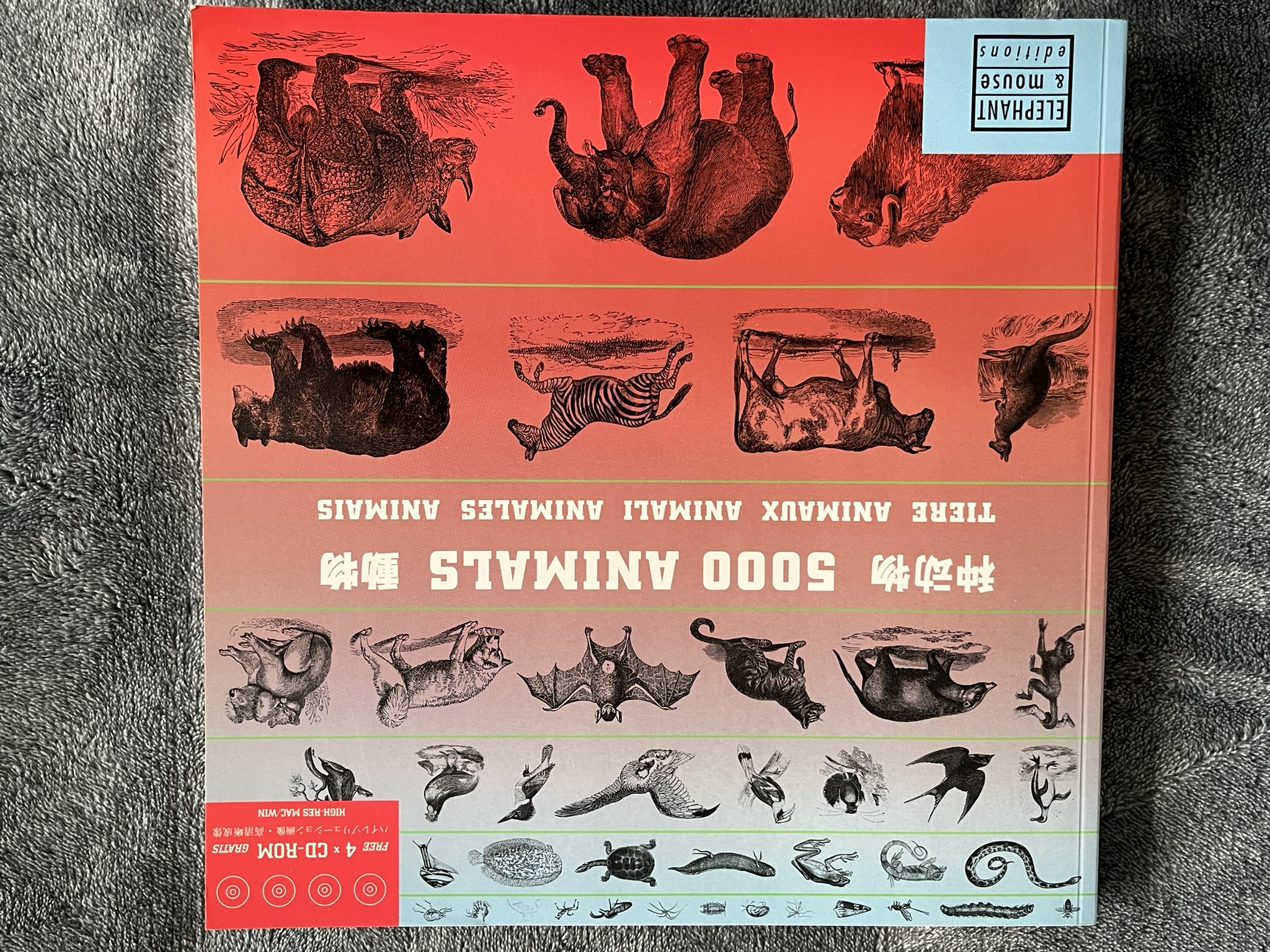 5000 Animals
