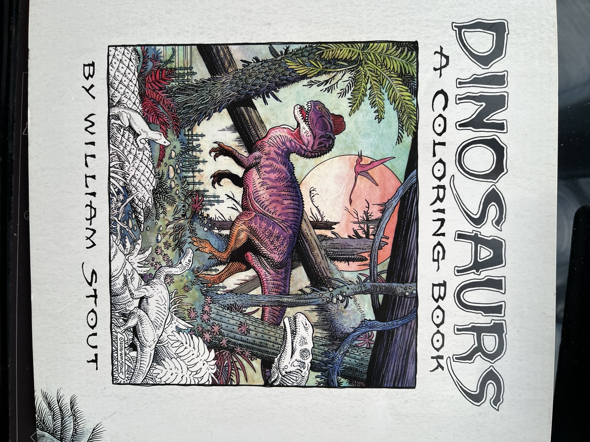 DINOSAURS A COLORING BOOK 版权页
