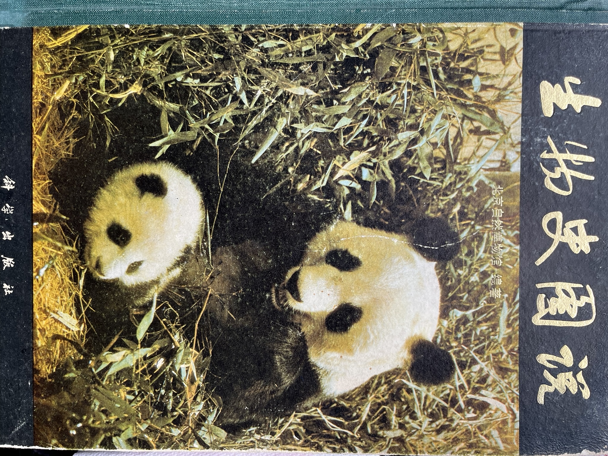 生物史图说
