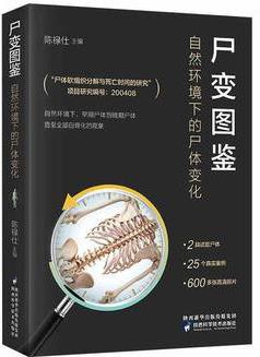 尸体变化图鉴