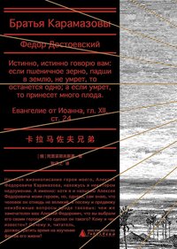 卡拉马佐夫兄弟 (广西师范大学出版社 2025)