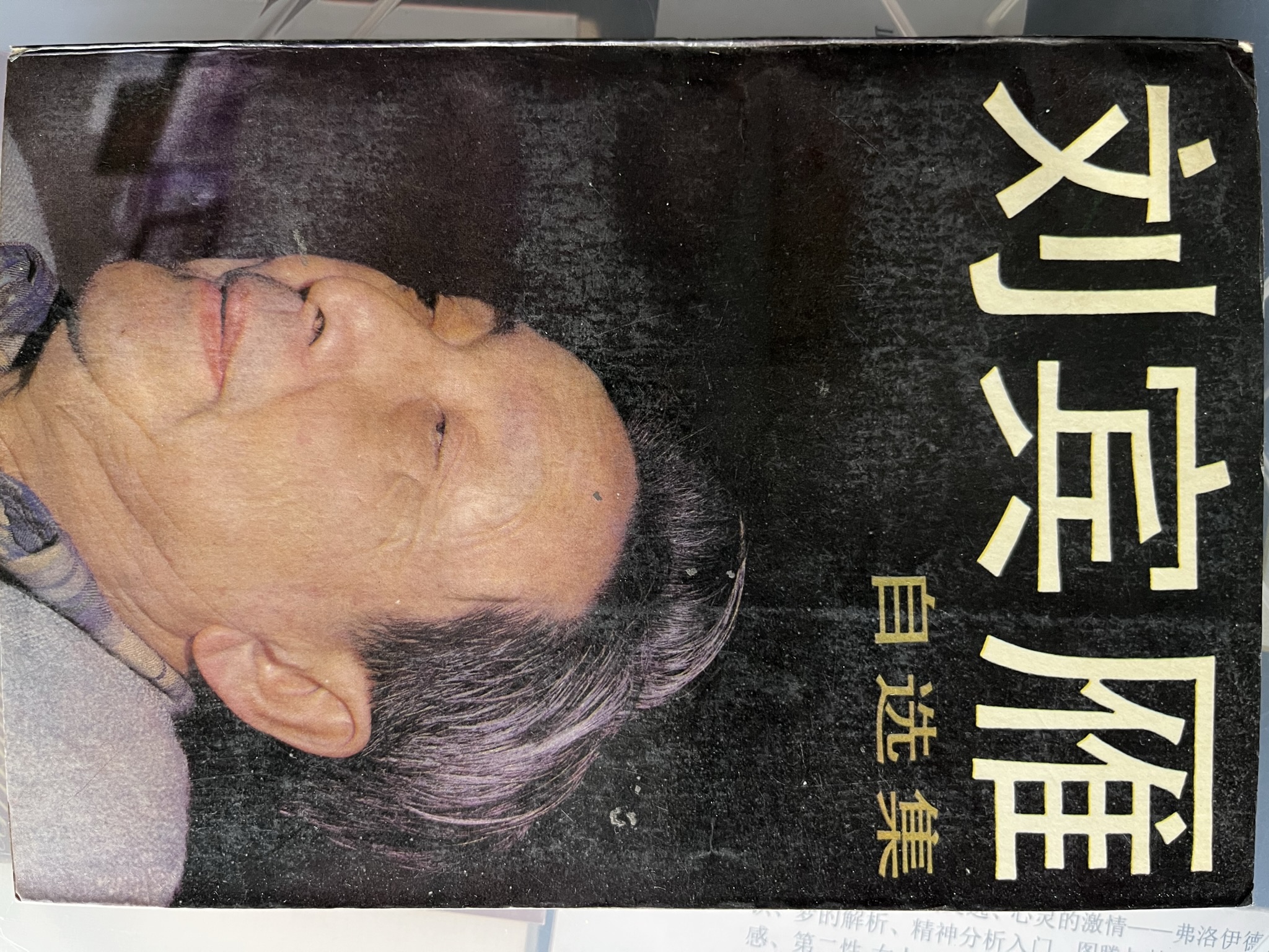 刘宾雁自选集