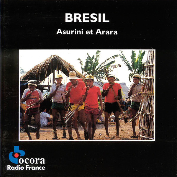 Brésil: Amérindiens D'Amazonie / Brazil: American Indians Of The Amazon
