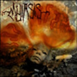 Myiasis