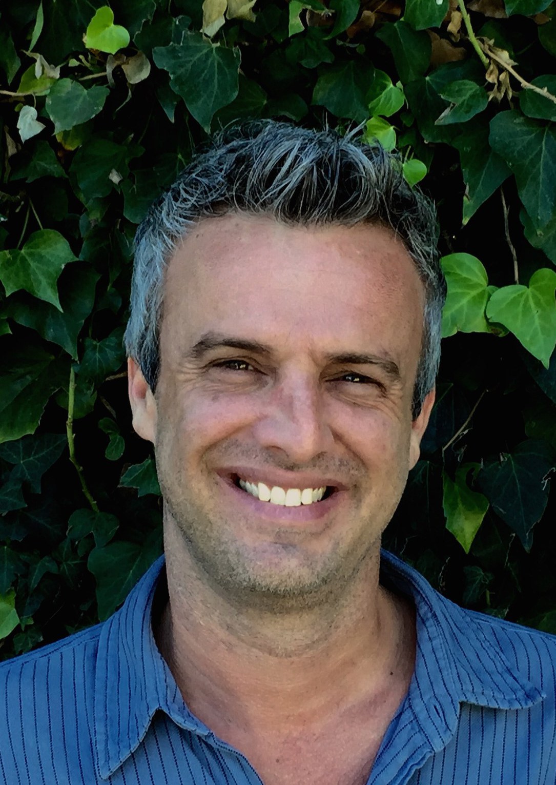 Andrew Mogel