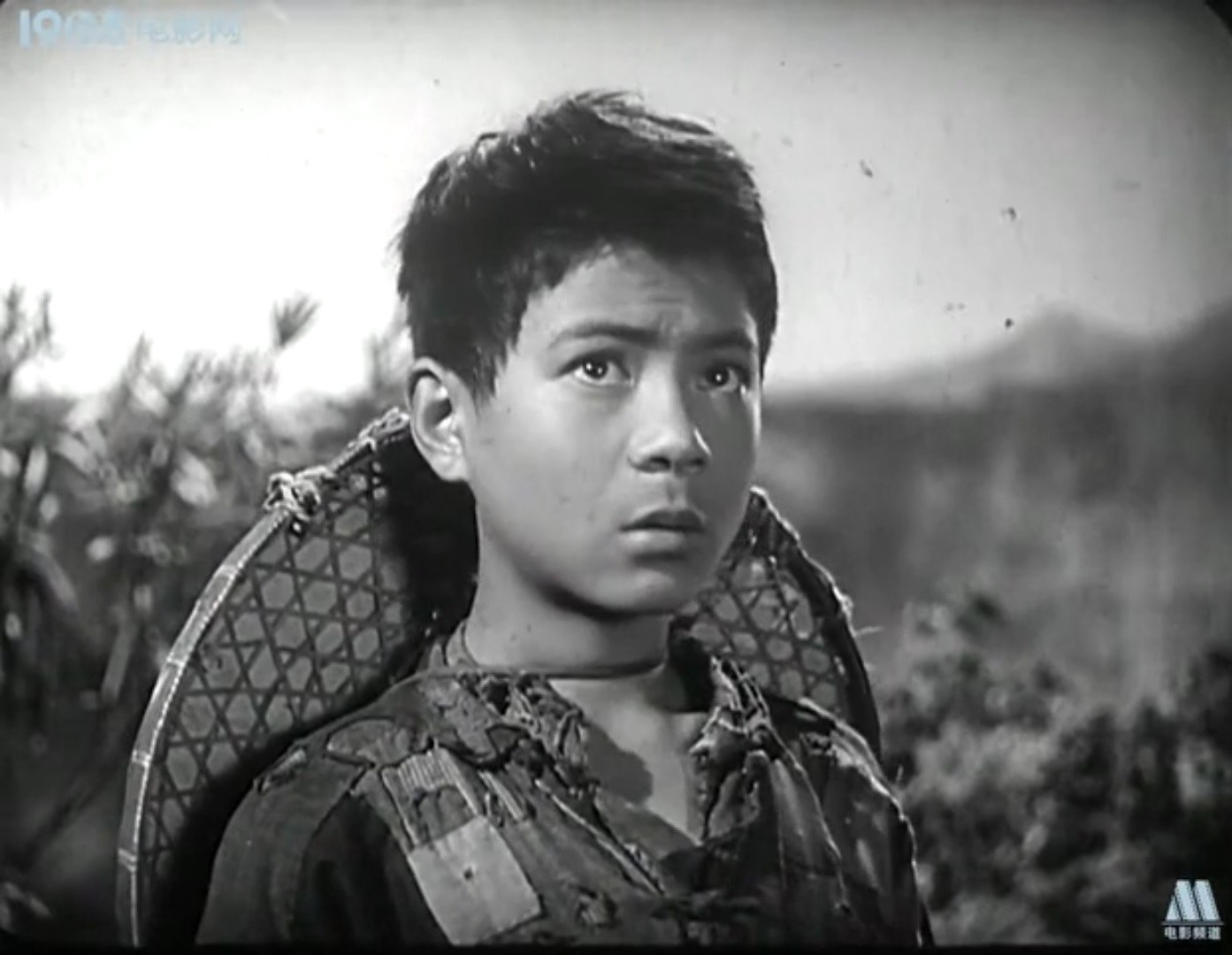 Senchang Yang