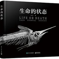 生命的状态