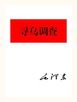 寻乌调查