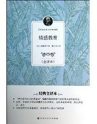 情感教育 (百花洲文艺出版社 2013)