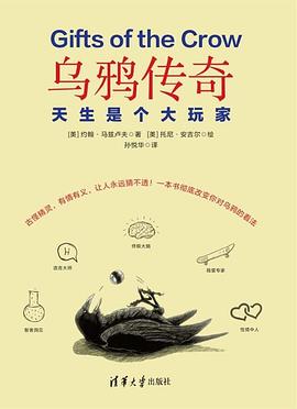 乌鸦传奇
