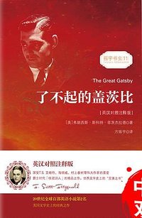 了不起的盖茨比 (海豚出版社 2017)