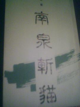 南泉斩猫