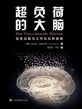 超负荷的大脑