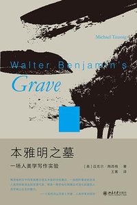 本雅明之墓 (北京大学出版社 2023)