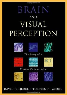 Brain and Visual Perception