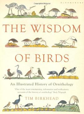 The Wisdom of Birds