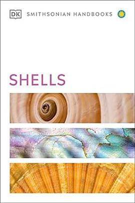 DK Shells