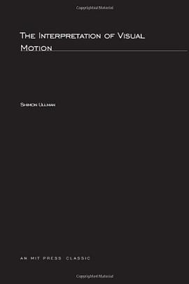 The Interpretation of Visual Motion