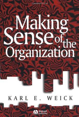 Making Sense of the Organization