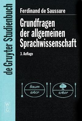 Grundfragen Der Allgemeinen Sprachwissenschaft (de Gruyter Studienbuch)