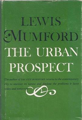The Urban Prospect
