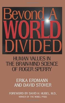 Beyond a World Divided