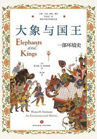 大象与国王 (天地出版社 2023)