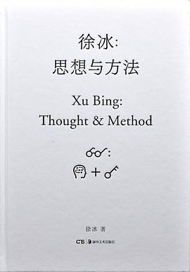 徐冰:思想与方法