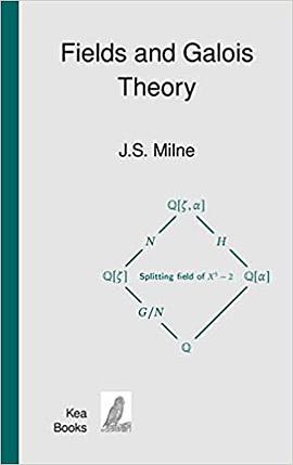 Fields and Galois Theory