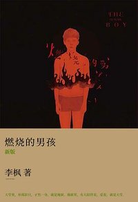 燃烧的男孩 (长江文艺出版社 2013)