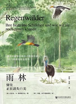雨林