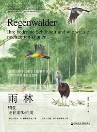 雨林