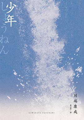 少年