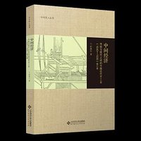 中间经济 (北京师范大学出版社)
