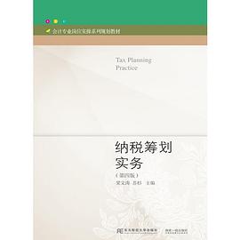 纳税筹划实务