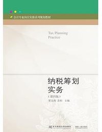 纳税筹划实务