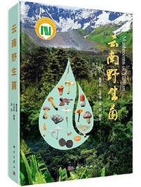云南野生菌