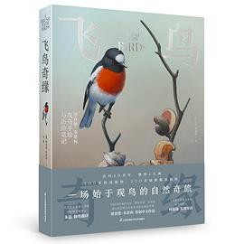 飞鸟奇缘