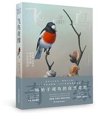 飞鸟奇缘