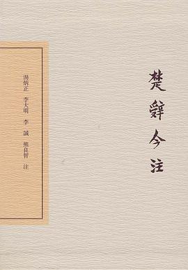 楚辞今注