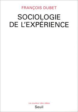 Sociologie de l'expérience