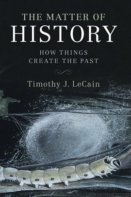 The Matter of History