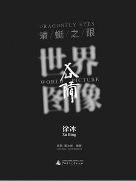 世界图像：徐冰《蜻蜓之眼》