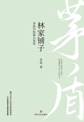 林家铺子:茅盾中短篇小说选