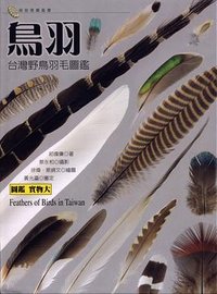 鳥羽
