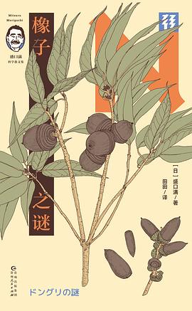 橡子之谜（轻读文库）