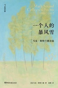 一个人的暴风雪